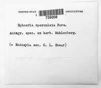 Image Associated With the Occurence